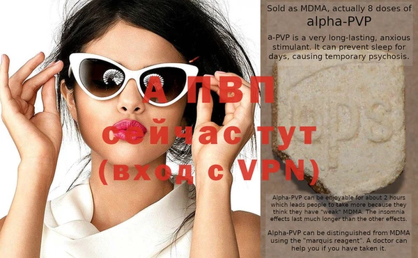 шишки Верея
