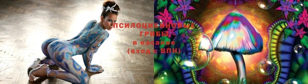 шишки Верея