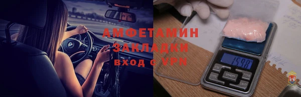 шишки Верея