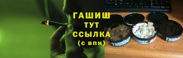 шишки Верея