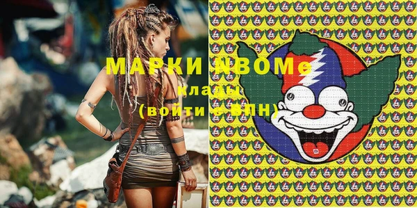 шишки Верея
