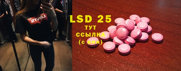 шишки Верея