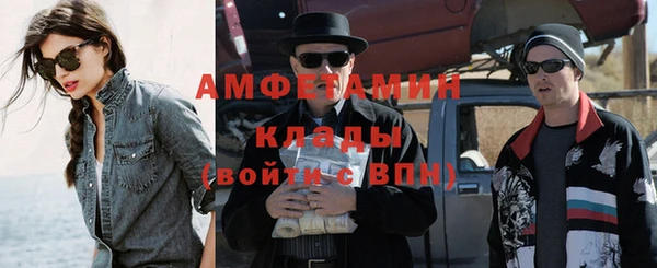 шишки Верея