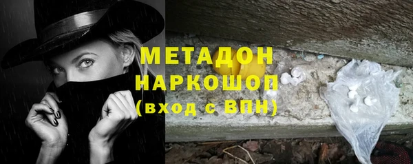 шишки Верея