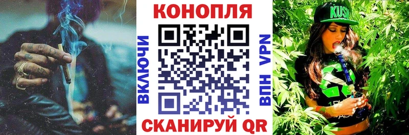 Каннабис план  Купить  Королёв 